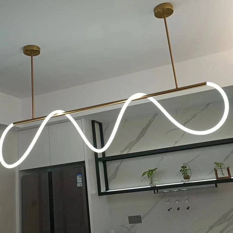 Modern Long Hose Led Ceiling Chandelier