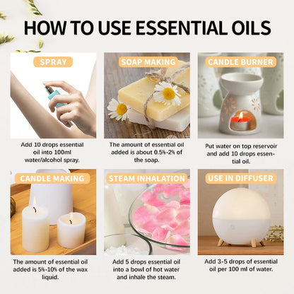 Plant Aromatherapy Essential Oil