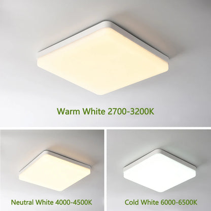 LED Natural Ceiling Lights