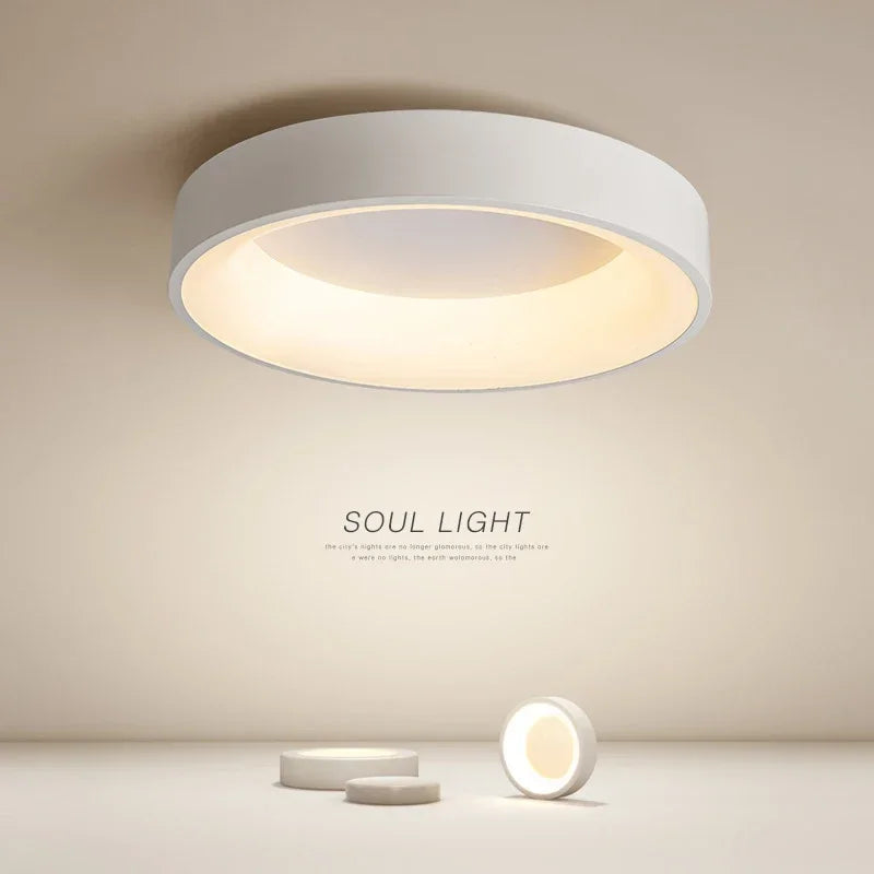 Ceiling Light Modern LED Simple Lamps